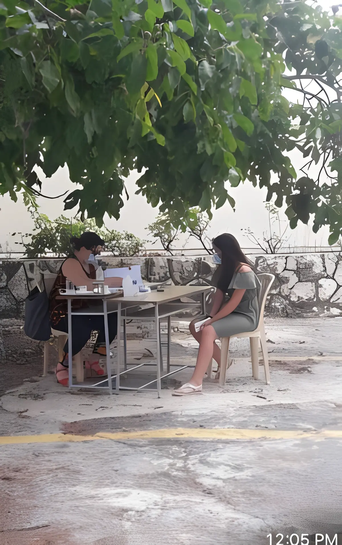 Outdoor meeting under a tree