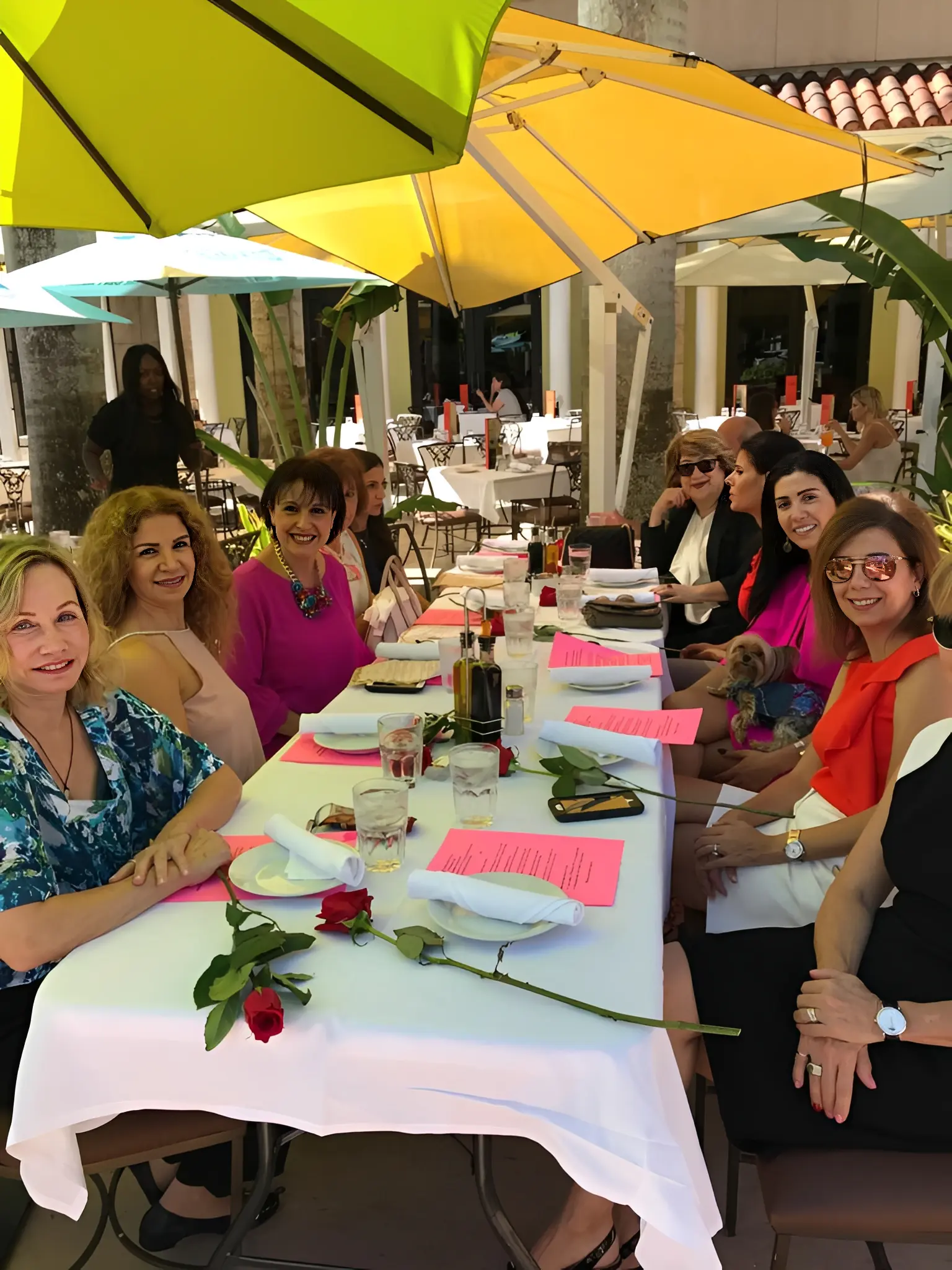 Group of women dining outdoors